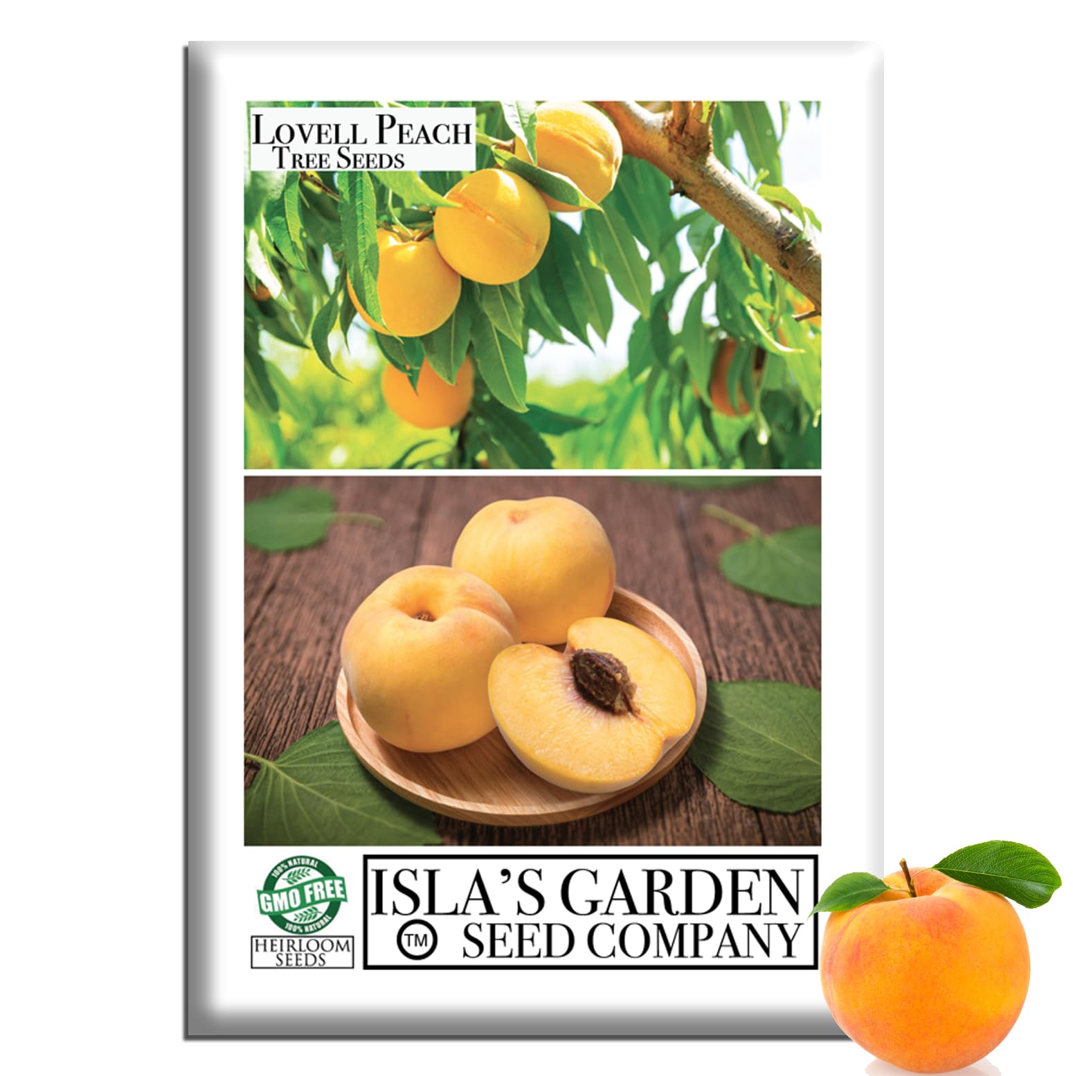 Amazon.com : Lovell Peach Tree Seeds (Prunus persica) – 2 Heirloom